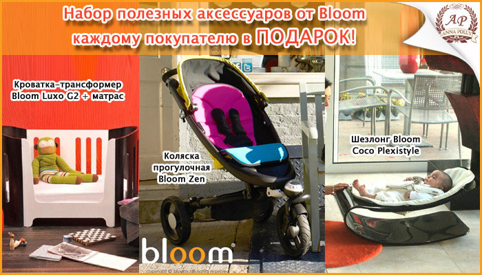  Bloom Zen, - Bloom Luxo G2,  Bloom Coco Plexistyle