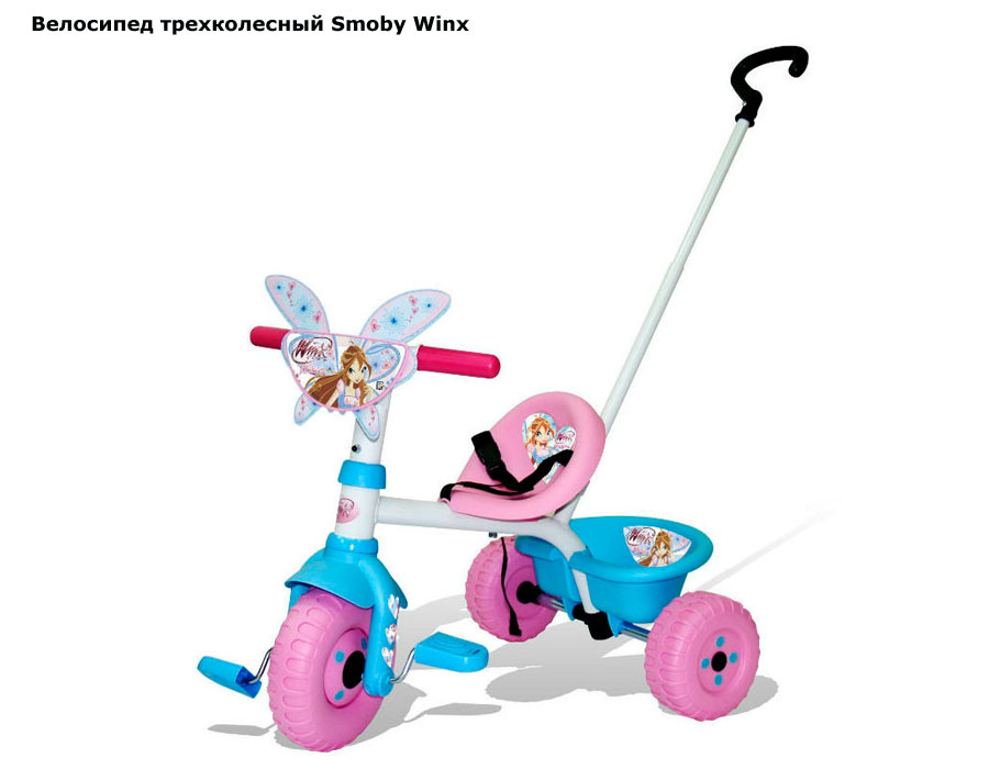 ���� ��������� ������������ Smoby Winx (����� �����)