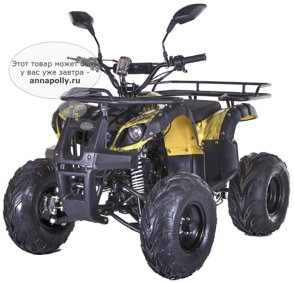 ���� ������������ ���������� ���������� MOTAX ATV Grizlik LUX 125 cc (������ ������ ������� ����)