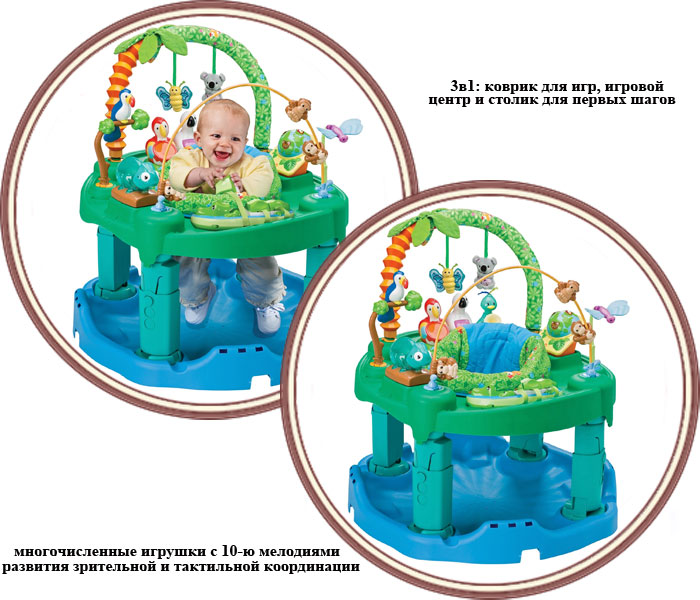 ���� ������� ����� 3 � 1 Evenflo ExerSaucers Jungle (������� ���������� �������)