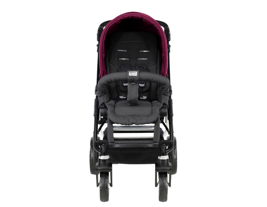 ���� ������� 2 � 1 Teutonia Fun System (�������� ��� ������)