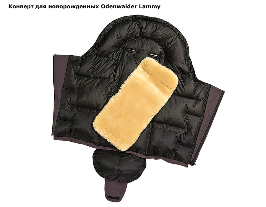 ���� ������� � ������� ������ ������� Odenwalder Lammy (����������� �����)