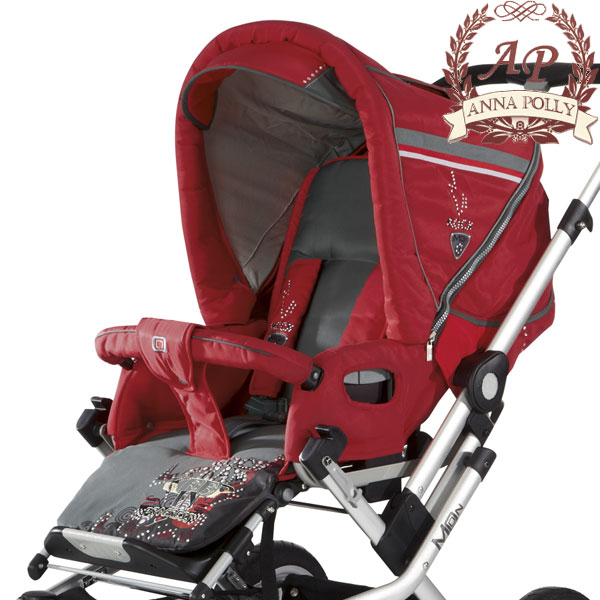 ���� �������-����������� Babywelt Pro Modul System (�������� ��� ������ ������)