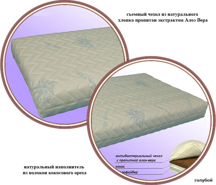 ���� ������ Gandylyan Aloe 125x65 (�������� ����)
