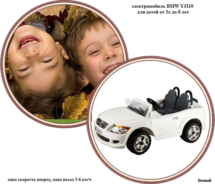 ���� ������������� TjaGo BMW 110YJ (����� ���)