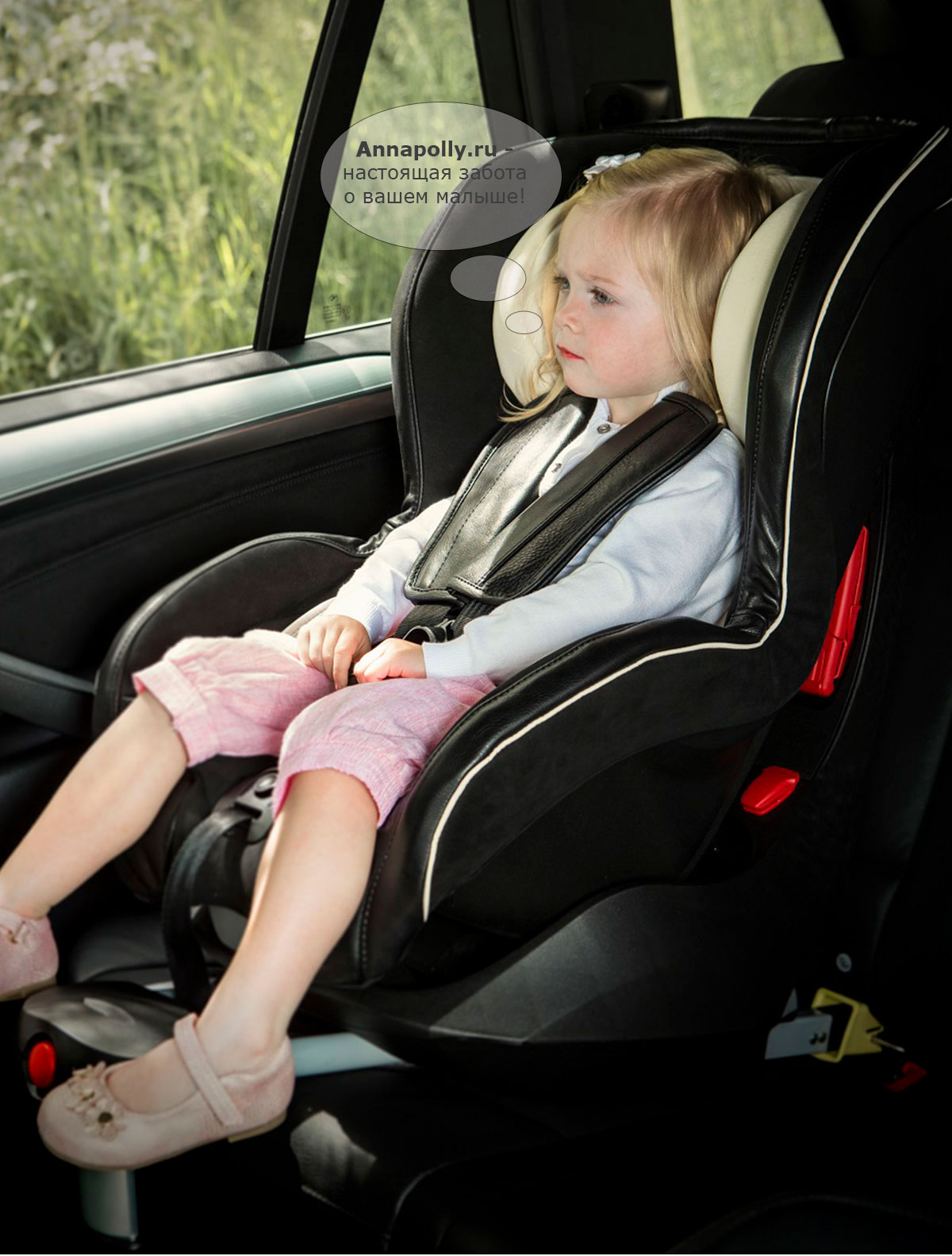 quantum car seat
