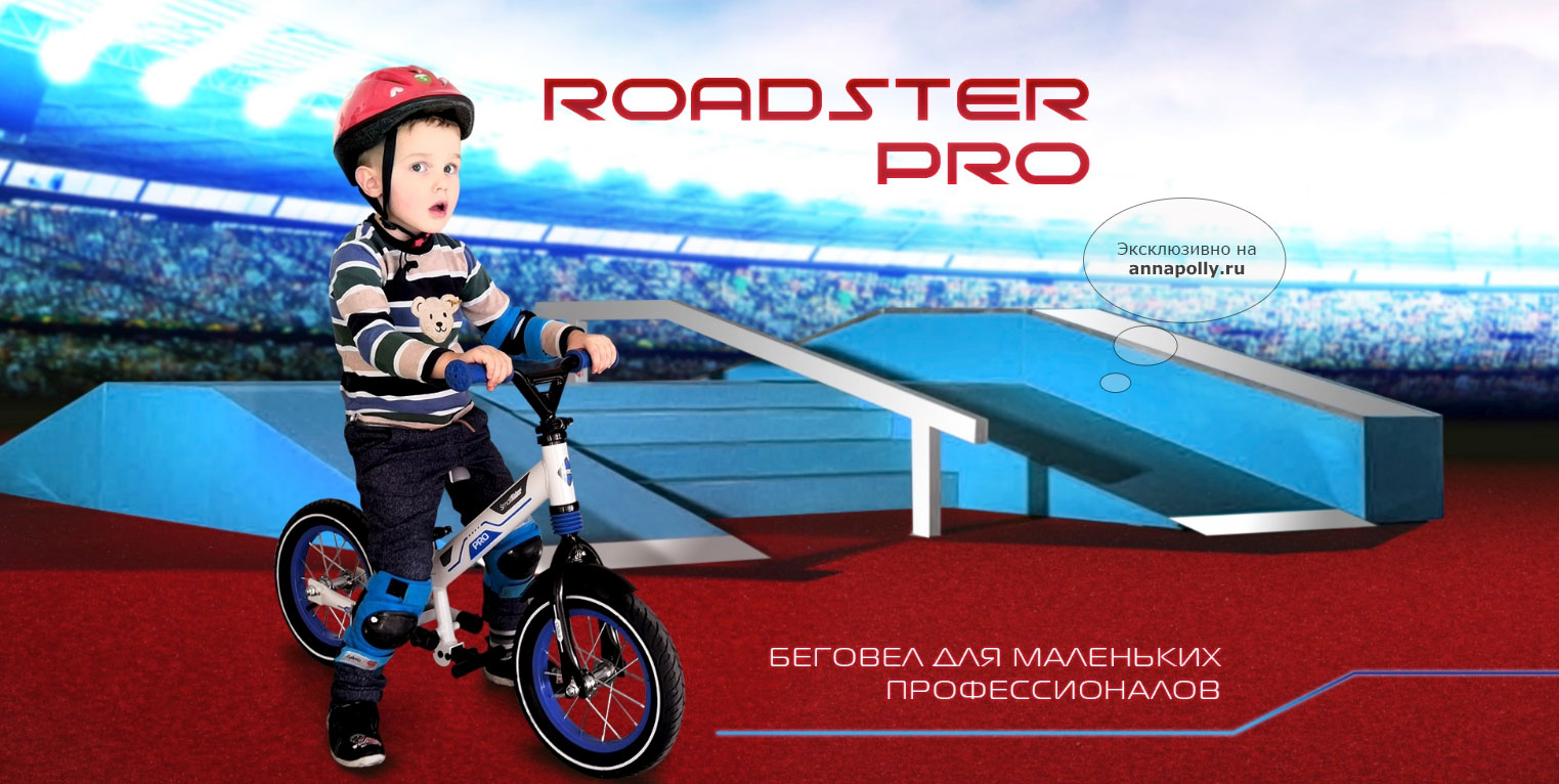 ���� ����������� ������� � 2 ��������������, 2 ���������� Small Rider Roadster Pro (����� ������)